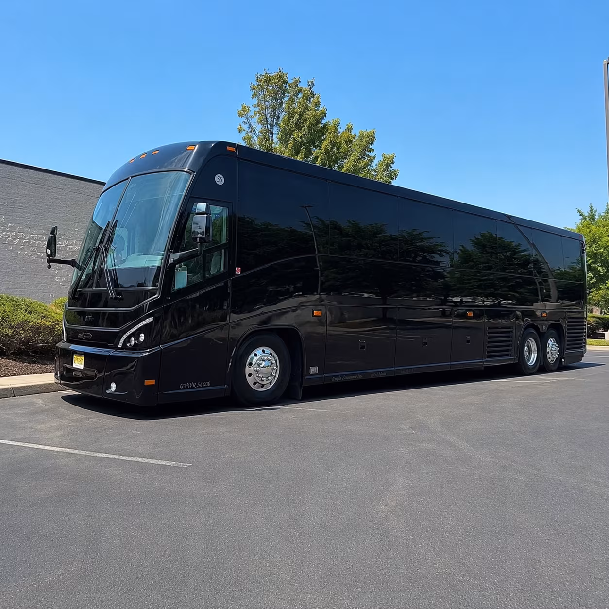 whatever your group needs for san diego the network has a bus for it